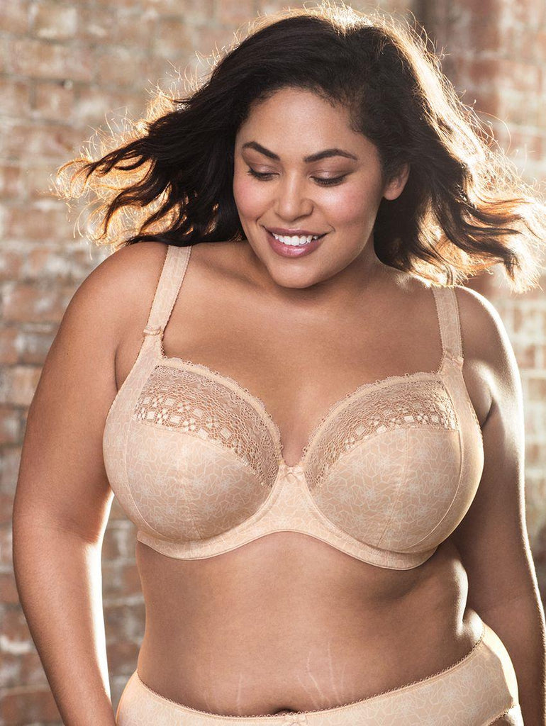 36E Bra Size in Fawn by Elomi Support and Three Section Cup Bras